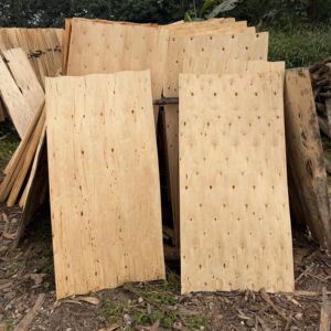 Chapa de Eucalipto 100% Natural de Alta Calidad, Corte Rotatorio, Ecológica, para Tableros de Muebles - Product Image 1