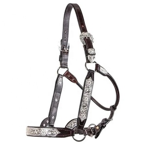 Top Premium Quality English Saddle Style Halter Diseños personalizados Polo Argentine Horse Leather con accesorios SS - Product Image 5