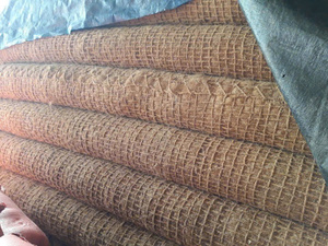 Disponible : Bûche de fibres de coco biodégradable écologique de qualité supérieure, la plus vendue, pour une stabilisation optimale du sol et la rétention en jardinage, prix en gros - Product Image 5