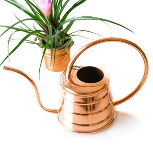 Canne de jardin en métal de haute qualité pour plantes grimpantes avec une structure solide et une base stable - Product Image 3