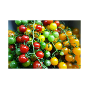 Tomates Cherry Frescos/ Tomates Frescos - Product Image 1