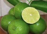 Verse groene citroenen zonder pit, merk VIOT uit Vietnam, premium kwaliteit, 6cm, 0,1kg, 12 maanden houdbaarheid voor de voedingsmiddelen- en drankenindustrie