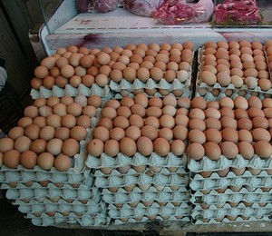 Huevos de Gallina Frescos de Granja Premium, Huevos de Gallina con Cáscara Marrón y Blanca, Precio Económico - Product Image 3