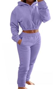 Ensemble de survêtement tendance pour femme : sweat-shirt court et pantalon de jogging – Commande en gros - Product Image 4