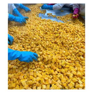 Cubos de mango congelados de Vietnam de primera calidad, hechos con mango fresco para la elaboración de helados y aplicaciones de servicio de alimentos. - Product Image 2