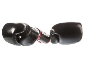 นวมชกมวยหนังแท้ Fairtex แบบเต็มนิ้ว ปิดด้วยเวลโคร สำหรับผู้ใหญ่ สีดำ ขาว แดง - Product Image 4