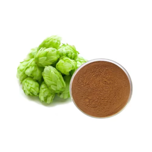 Poudre d'extrait de houblon 60% Xanthohumol séchée par atomisation, extrait végétal naturel de qualité alimentaire - Product Image 1
