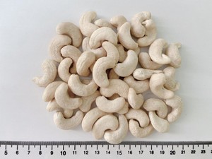 Vietnam Cashew <b>Nuts</b> W320 – Premium Whole Cashew <b>Kernels</b> | High Quality Export Supplier // Mr.Tom - Product Image 5