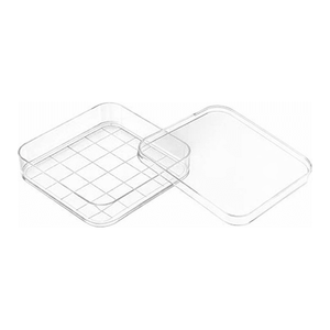 Placa de Petri Cuadrada de Plástico de 100 mm con Marcas Graduadas para Cultivo Celular e Investigación Microbiológica - Product Image 3