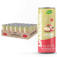 Soda prébiotique à la framboise et à la lime 250ml |   Boisson gazeuse de qualité supérieure pour la santé intestinale, jus véritable 7% Brix |   Boisson gazeuse OEM/ODM