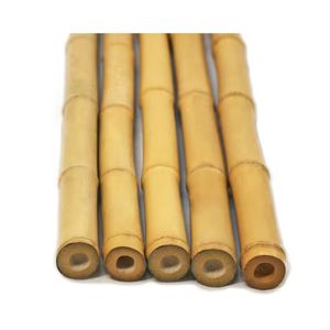 Estacas de Bambú de Alta Calidad, Precio Económico al por Mayor, Postes Rectos Resistentes y Duraderos, Marca Premium, Suministro a Granel de Fábrica - Product Image 1
