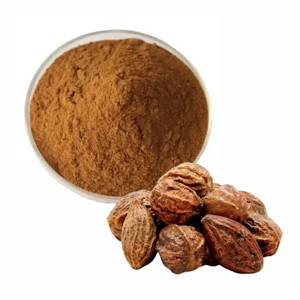 Polvo de Fruta Haritaki 100% Puro de Alta Calidad, Extracto Herbal, Extraído con Solvente, Grado Alimenticio, para la Digestión y la Desintoxicación - Product Image 1
