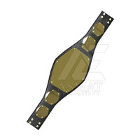 Ceinture de champion de lutte classique taille adulte pour les fans de lutte, édition collector.