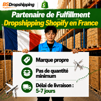 Agent de dropshipping Shopify en Chine, très demandé |   Service de livraison en France, livraison à domicile, expédition express, transit en 3 à 10 jours