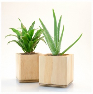 Square Natural Pine <b>Wood</b> Planter Pots Handmade Wooden Succulent Boxes for Office <b>Desk</b> Custom Logo OEM <b>Solid</b> <b>Wood</b> Flower Pot - Product Image 1
