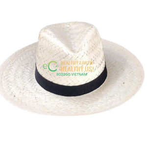 Biodegradable Custom Straw <b>Hat</b> With Custom Logo/ Straw <b>Hats</b> for Women/ Straw <b>Hats</b> for Men in Vietnam by Eco2go Vietnam - Product Image 3