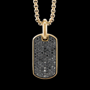 AARVA JEWELS Collier pendentif chien en argent plaqué or avec micro-pavé de zircon noir et breloque gravée avec nom, bijoux de fête hip-hop - Product Image 4