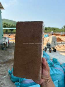 Granulés de coco de haute qualité améliorent l'hydratation du sol et la croissance des racines Livraison rapide Approvisionnement direct en usine par VIFARMEX - Product Image 6