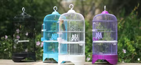 Vente en gros de petites cages à oiseaux rondes multicolores ornementales en métal très vendues Cages pour perroquets