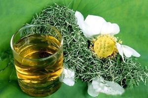 TÉ CORAZÓN DE LOTO TOSTADO SECO DE ALTA CALIDAD en VIETNAM // PRECIO BARATO - Product Image 3