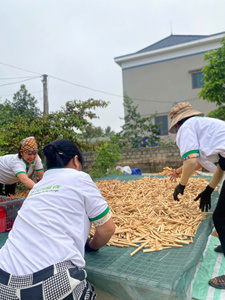 หลอดดูดไม้ไผ่เป็นมิตรต่อสิ่งแวดล้อมผลิตจากเวียดนามสำหรับตลาดฟิแลนด์ - Product Image 4