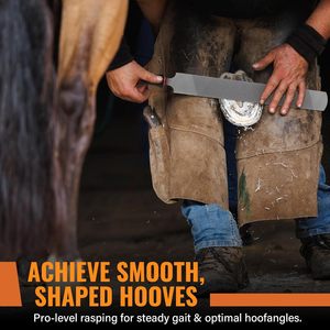 Râpe à sabots professionnelle de 18 pouces, en acier au carbone robuste, pour chevaux, bovins, chèvres, ânes, ergonomique - Product Image 4
