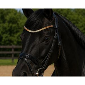 HM Global Premium Elegant U Shaped Multi Color 10 mm Arena Crystal Handmade Horse Browband Luxury Riding Tack - Product Image 3