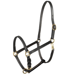 Venta al por mayor de diamantes de imitación de cristal decorado de cuero negro Halter Halters - Product Image 4