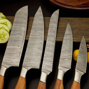 Ensemble de couteaux de cuisine en acier Damas de haute qualité pour la maison, les restaurants et la formation culinaire - Product Image 1