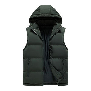 Gilet d'hiver décontracté pour homme 2026, coupe-vent, sans manches, en duvet, avec capuche unie et poches, gilet tendance en tissu chaud - Product Image 2
