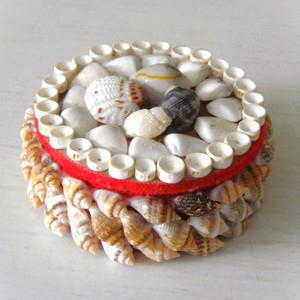 Seashell <b>boxes</b> coastal party event favour gift natural sea shell box jewelry <b>trinket</b> storage - Product Image 1