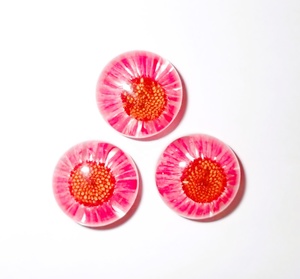 Flor de Daisy Fleabane, Espécimen Real en Cabujón de Plástico Redondo de 19x19 mm, Base Plana Transparente, Moderno, para Manualidades y Joyería - Product Image 4
