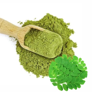 Poudre de feuilles de Moringa pure, riche en fer, calcium, potassium, fibres, protéines et nutriments essentiels pour l'énergie, l'immunité et la digestion - Product Image 1
