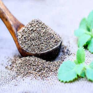 Nouvelle Récolte de Graines d'Ajwain (Carom) Naturelles Brutes d'Inde – Vente en Gros pour Acheteurs en Vrac, Importateurs d'Épices, Fabricants Alimentaires Mondiaux - Product Image 2