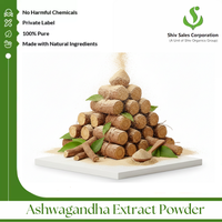 Poudre d'extrait d'Ashwagandha naturelle pour capsules, sachets et produits nutritionnels en poudre