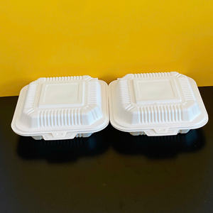 Boîte alimentaire jetable en plastique à clapet 9x9 pouces pour restaurant, vente chaude, avec couvercle articulé, en MFPP - Product Image 5