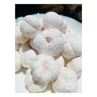 Premium knapperige gevriesdroogde mangosteen gemaakt van vers tropisch fruit uit Vietnam