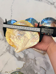 Assiette en nacre avec plat à caviar en argent et cuillère à caviar, coffret de service de luxe pour caviar 99 GOLD DATA - CARYLN - Product Image 6