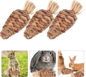 Handcrafted botanical woven carrot grass toys for small pets safe edible interactive playtime item guinea pigs and chinchillas - Product Image 3