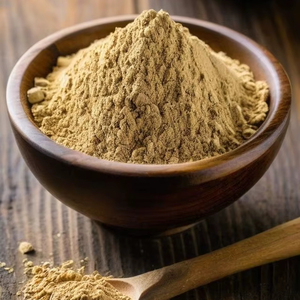 WARRLY Extracto Natural de Amla en Polvo 99% Puro Secado al Aire Caliente, Grosella Indio de Gujarat, Rico en Vitamina C, Grado Alimenticio, Suministro a Granel - Product Image 1