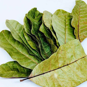 Hojas de Guanábana Secas Premium para Té de Apoyo Inmunológico, Material a Granel, Suministro Directo de Fábrica en Vietnam - Product Image 1