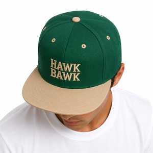 Gorra Snapback Unisex de Algodón Suave, Malla Trasera de Primera Calidad, Visera Plana, Ajuste Ajustable, Logotipo Bordado, Gorra Snapback Personalizada - Product Image 4