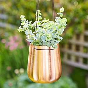 Pot de fleurs suspendu en métal plaqué cuivre moderne, écologique, petite capacité, pour plantes vertes d'intérieur, design minimaliste - Product Image 5