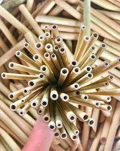 Pajitas de Bambú Desechables Ecológicas de Alta Calidad, Altamente Recomendadas, Juego de Pajitas con Cepillo de Limpieza, Loto Azul - Product Image 5