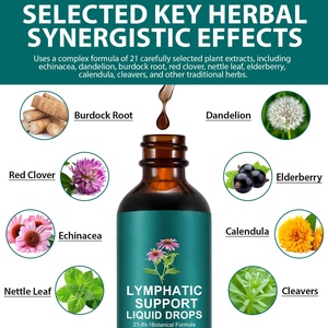 Gotas de Equinácea y Diente de León para Apoyo Linfático, 6000mg de Potencia, Desintoxicación Herbal para Linfáticos Inflamados, Soporte OEM - Product Image 2