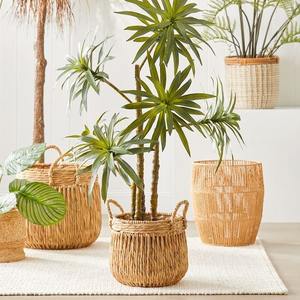 Cesta de almacenamiento rústica de jacinto de agua con asas, cesta de almacenamiento hecha a mano, venta al por mayor, ecológica, hecha en Vietnam - Product Image 5