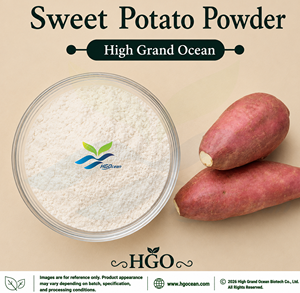 HGO Factory Direct Supply Sweet Potato powder (Food Grade) Vegetable powder Spray Drying or Freeze-dried Sweet Potato powder - Product Image 1