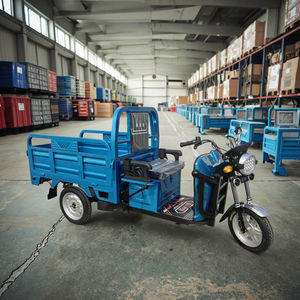 Triciclo de Carga Eléctrico Diésel de 3 Ruedas de Alta Calidad, Motocicleta de Carga Motorizada para Transporte Logístico Agrícola - Product Image 1