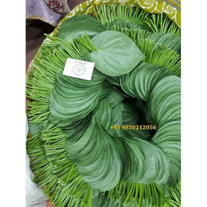 Hojas de betel verdes indias de alta calidad utilizadas para la preparación de paan y ceremonias religiosas a precio de oferta. - Product Image 1