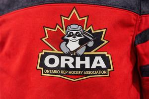 Ensemble de maillot et pantalon de hockey sur glace personnalisé unisexe pour l'hiver, avec tissu en toile sublimé, uniforme d'équipe à manches longues - Product Image 6